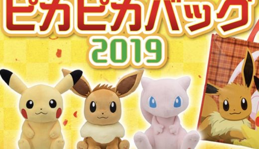 ピカピカバッグ2019(御殿場アウトレット)整理券配布は?中身も調査